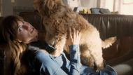 Still from the movie (Image via Universal Pictures)